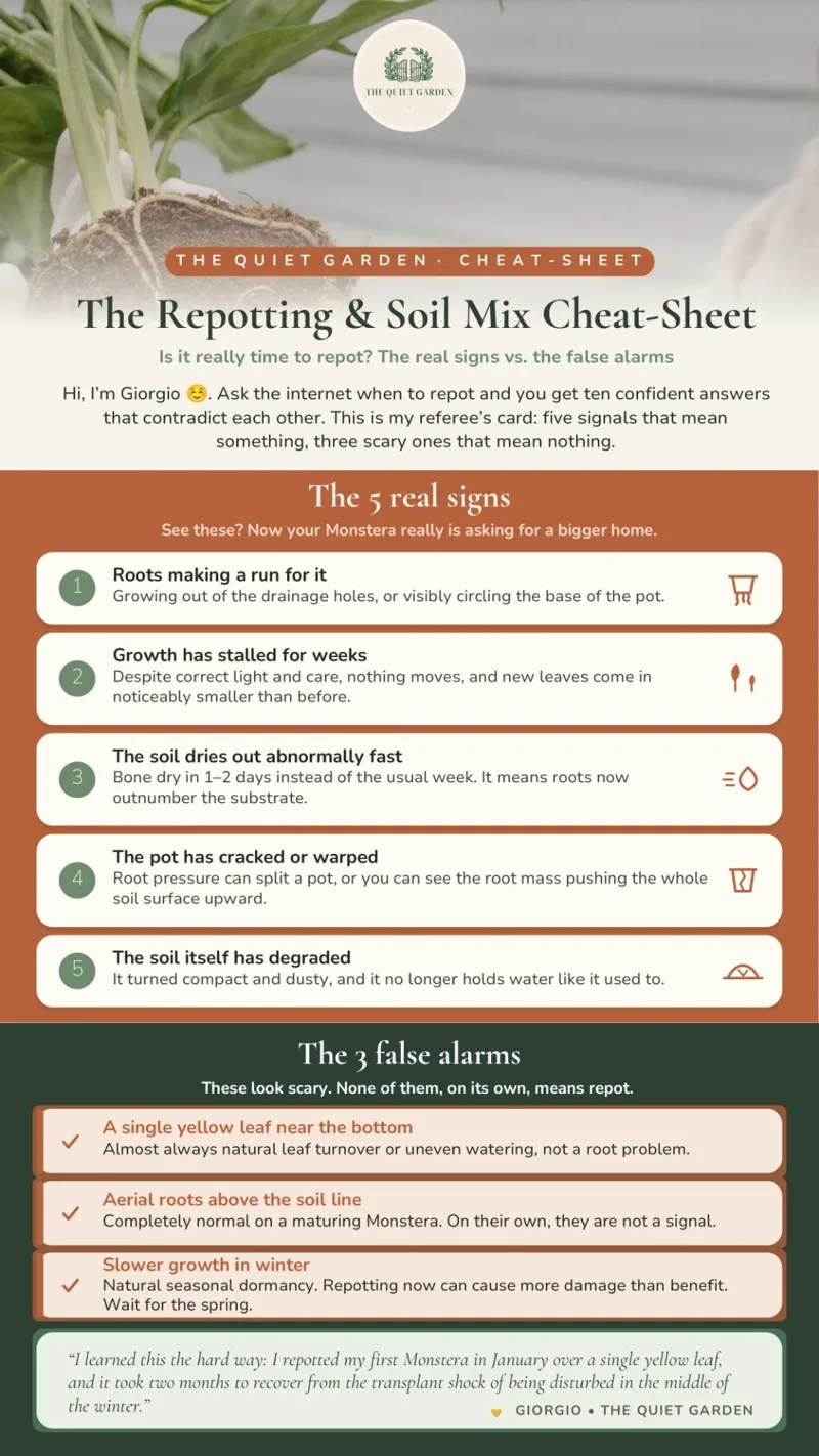The Repotting & Soil Mix Cheat-Sheet