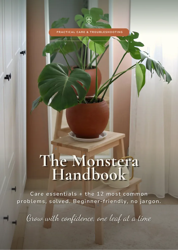 The Monstera Handbook