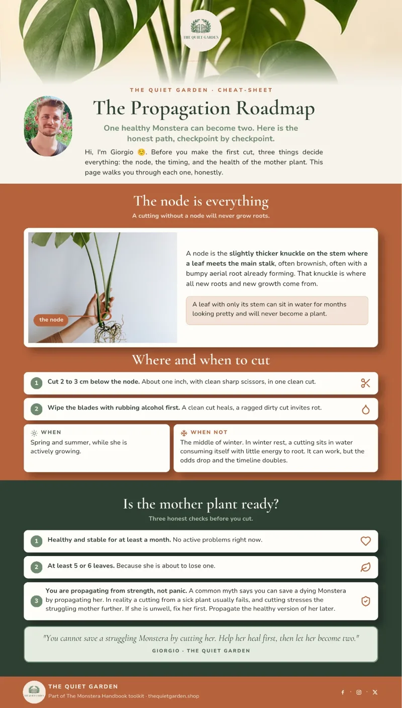 The Propagation Roadmap