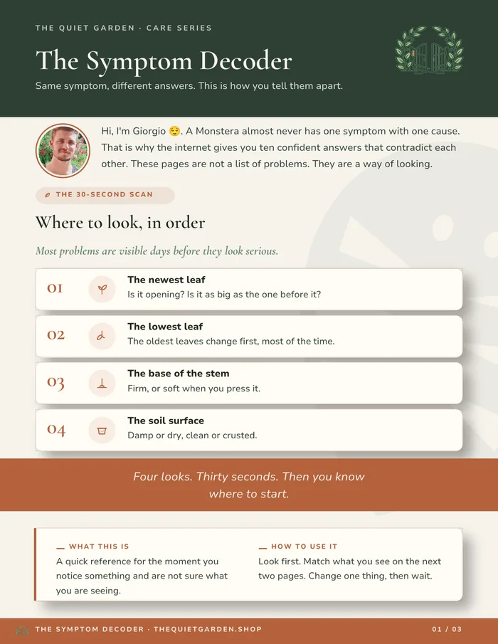 The Symptom Decoder