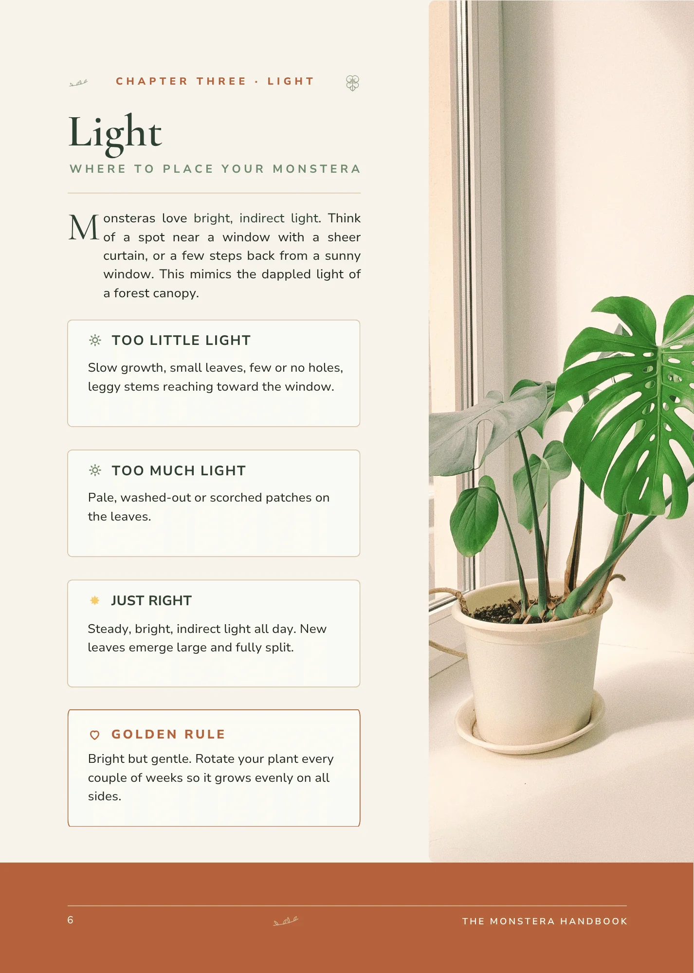 The light chapter from The Monstera Handbook