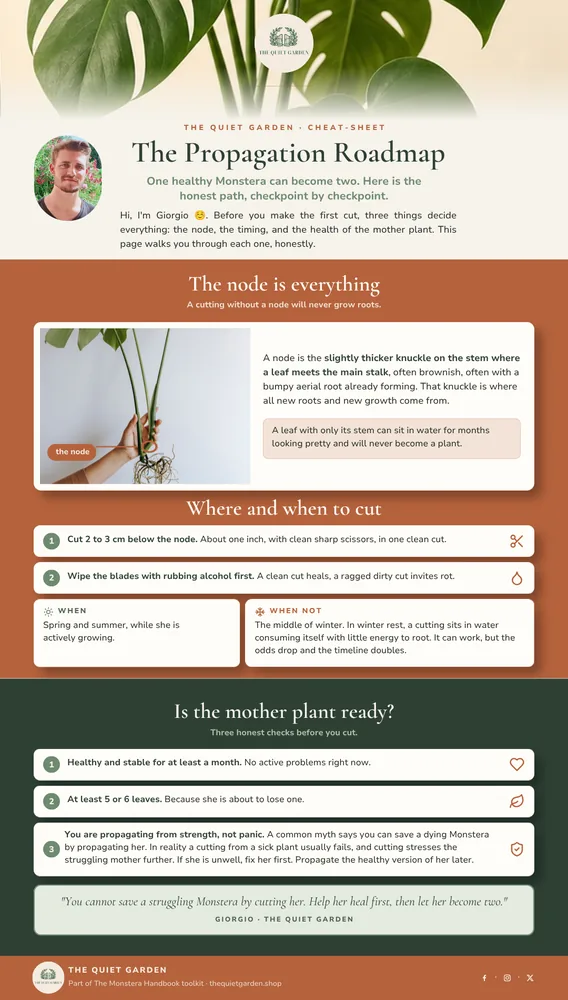 Propagation Roadmap card detail