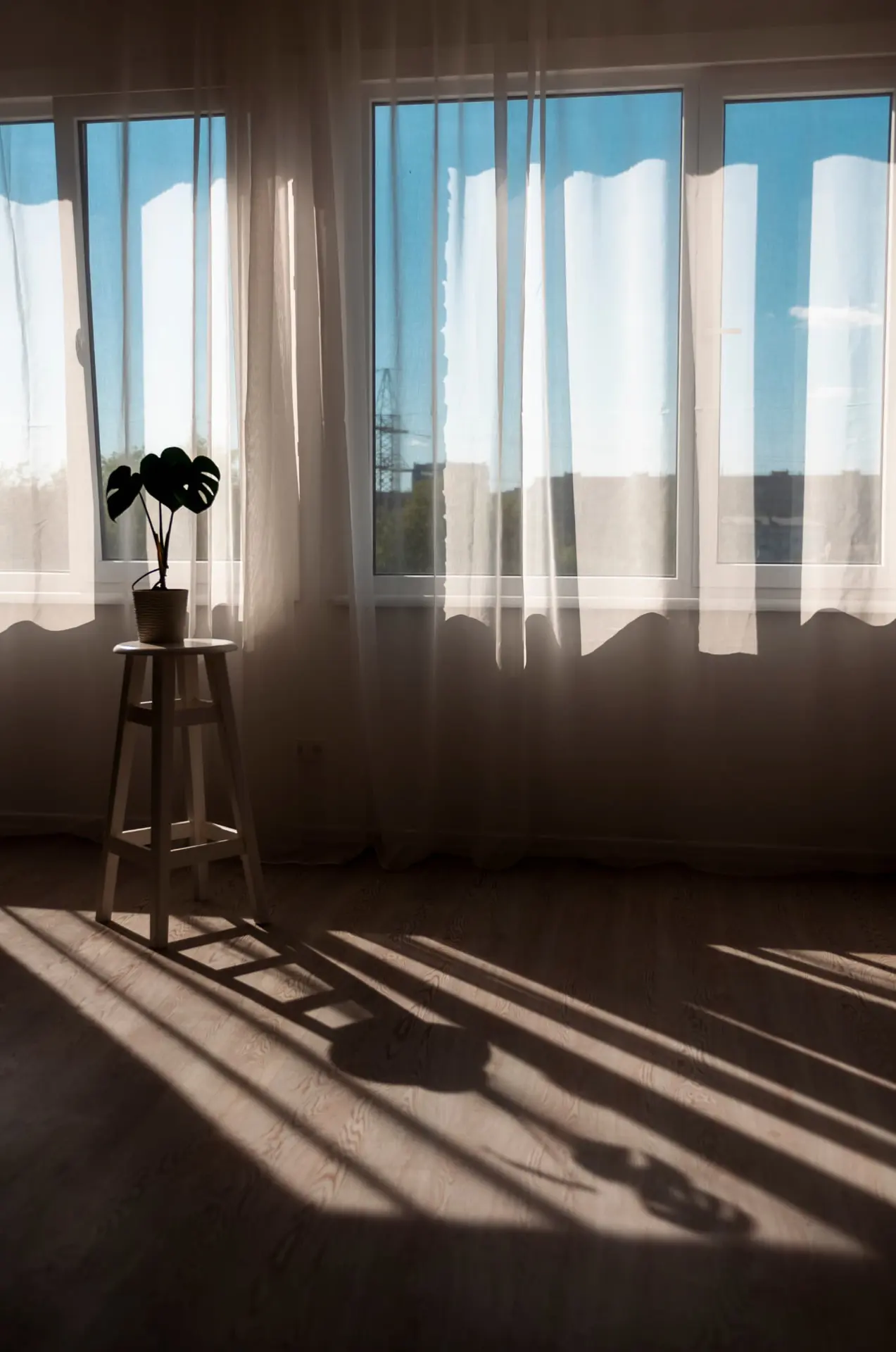 A Monstera on a wooden stool in a quiet room filled with soft window light