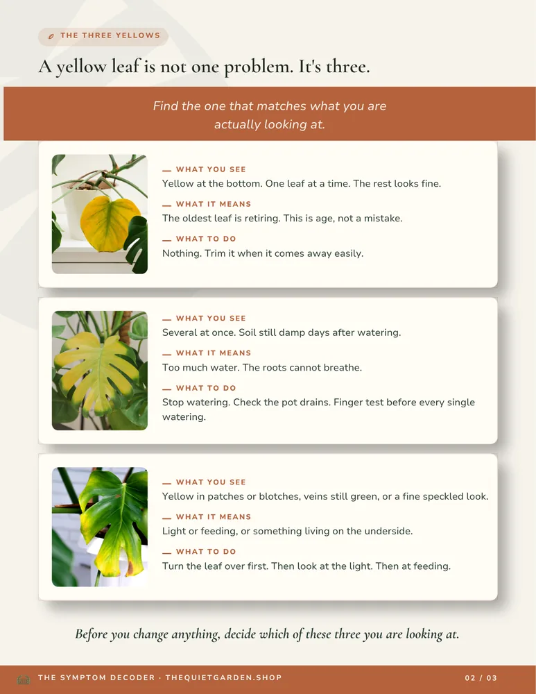 A printable page from The Symptom Decoder